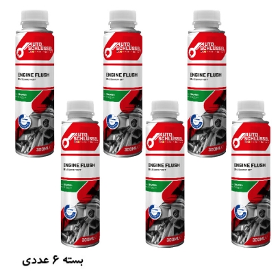مکمل شستشوی موتور 300 میل لیتری اتو اشلوسل Autoschlussel بسته 6 عددی