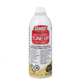 شوینده کامل سیستم سوخت رسانی گام اوت (گاموت)Tune-Up GUMOUT